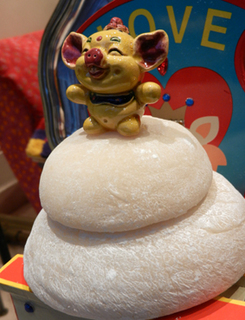 DSCN8805.JPG