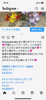 IMG_0257.PNG