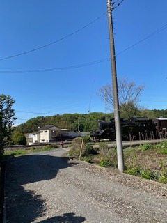 IMG_0818.jpg