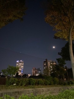 IMG_3505.JPG