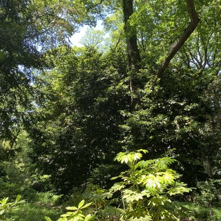 IMG_3704.JPEG