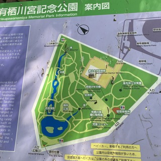 IMG_3709.JPEG