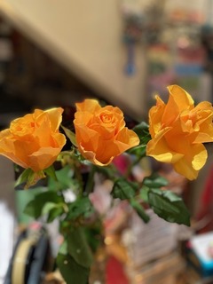 IMG_3818.jpg